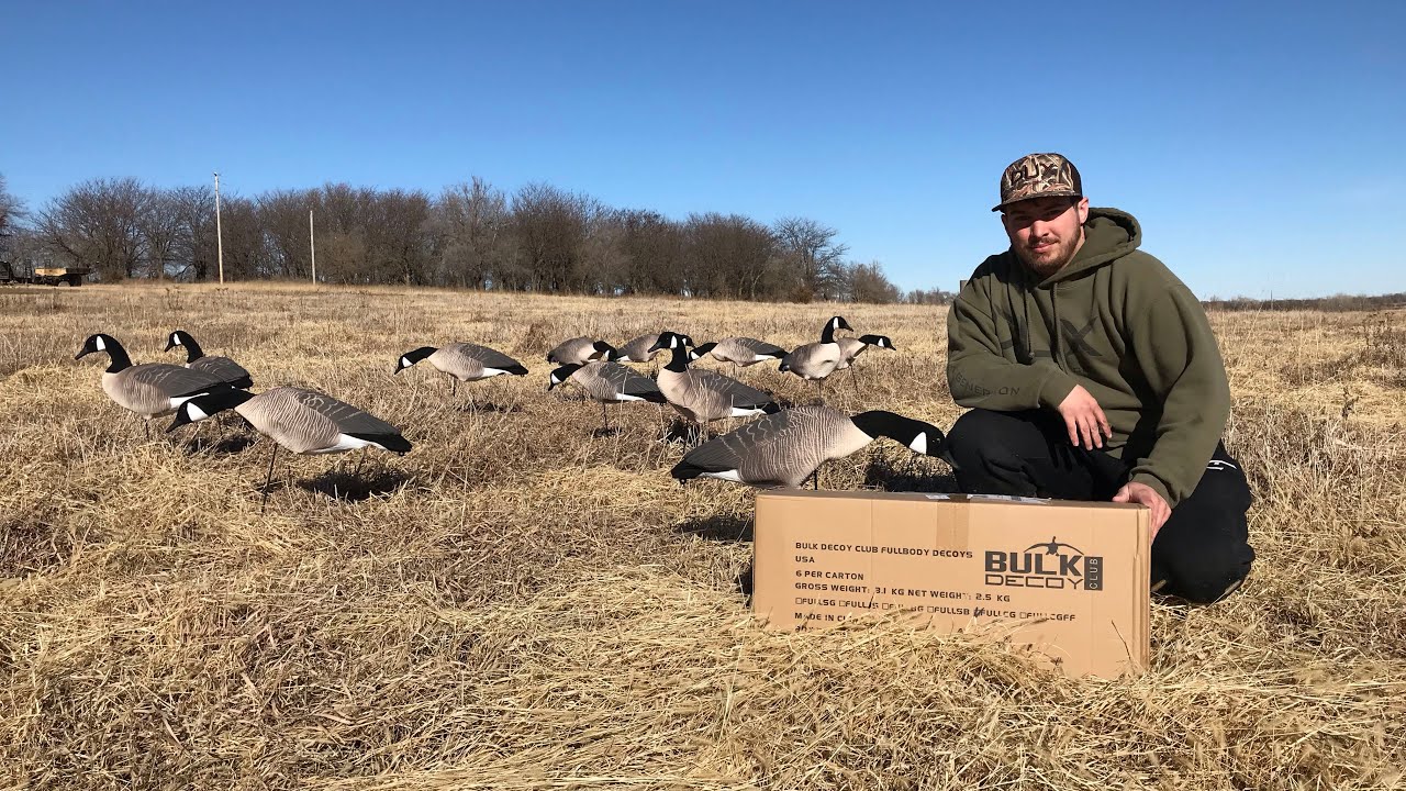 Bulk Decoy Club Canada Goose Decoy Review ( Drone View)