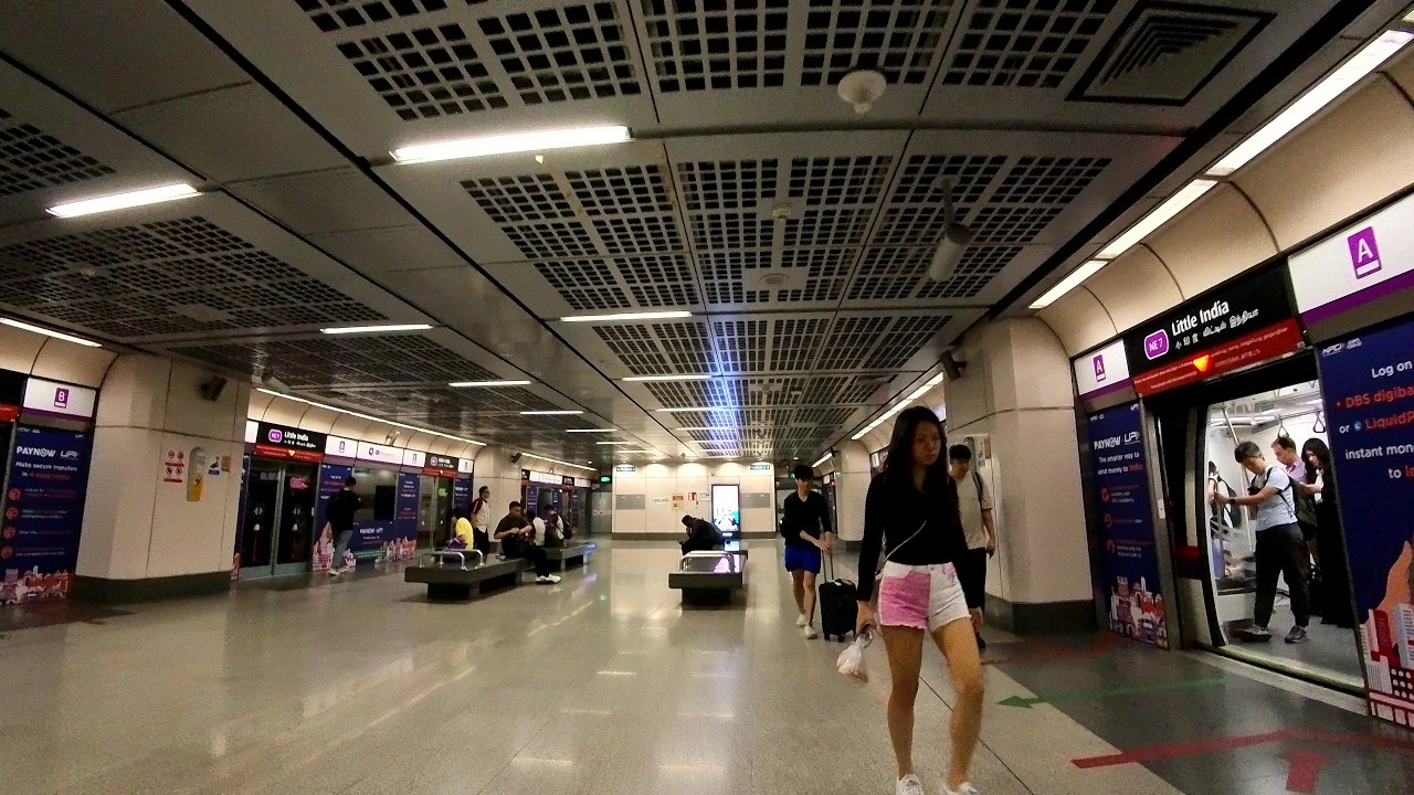Little India MRT Station (NE7/DT12) | Paid transfer link walk from DTL Platforms to NEL Platforms
