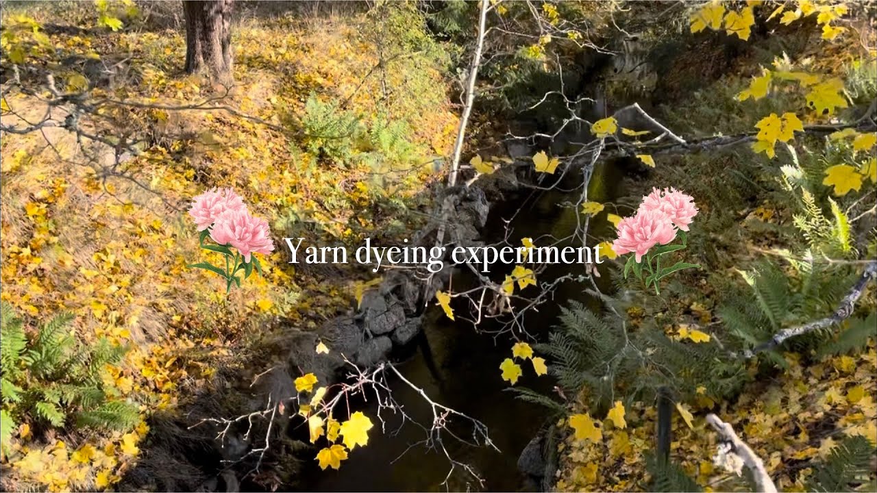 Yarn dyeing experiment