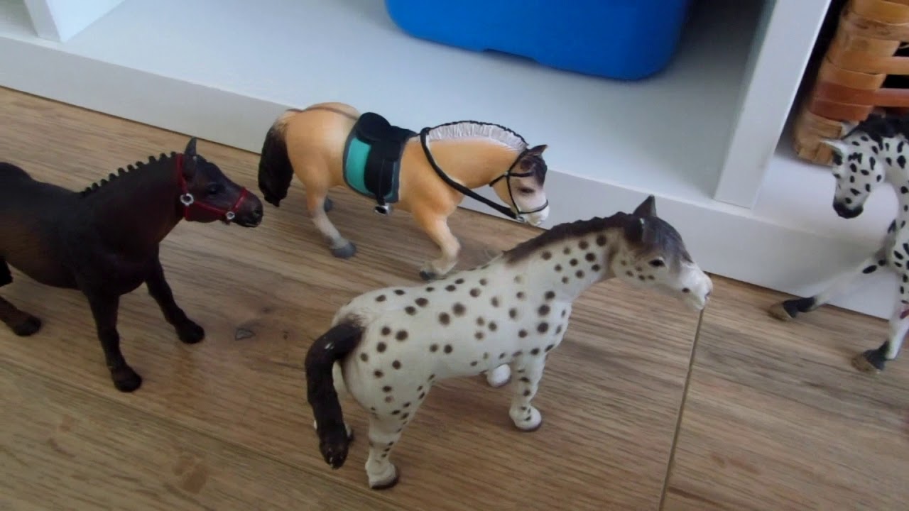 Serial schleich:Przygody w Stadninie 