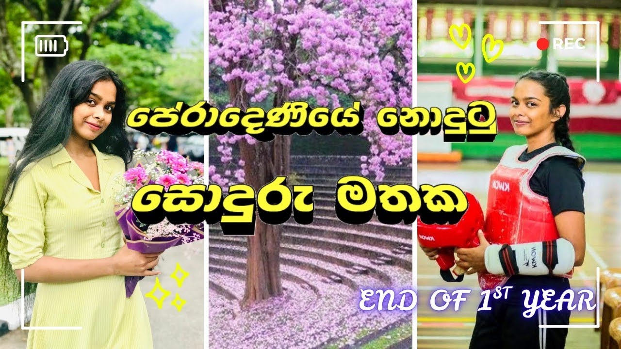 පේරාදෙණිය සරසවියේ  මතක👩&zwj;🎓❤️|𝐞𝐧𝐝 𝐨𝐟 𝟏𝐬𝐭 𝐲𝐞𝐚𝐫🩺🫶🏻||𝐕𝐥𝐨𝐠 #𝟑|uni vlog|#campus#memories#peradeniya#bio