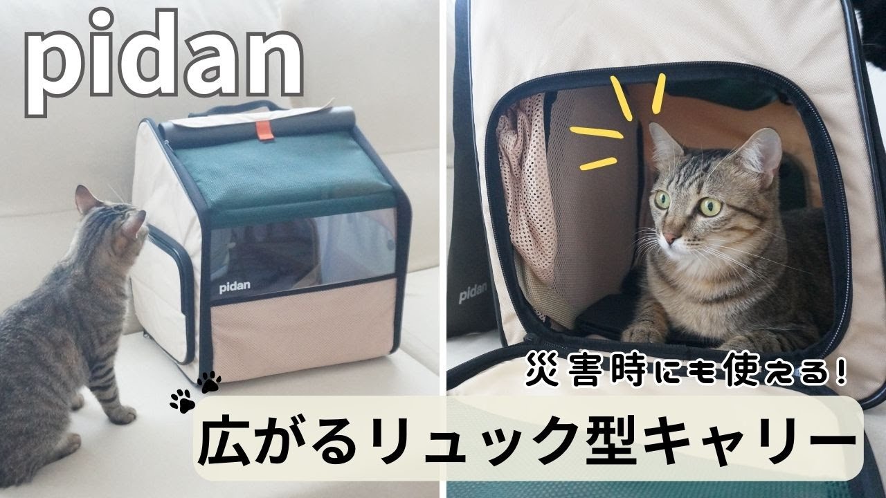【防災用ケージにもおすすめ】pidanのリュック型キャリーをレビュー！広がるキャリーで多頭飼いには便利かも　#93