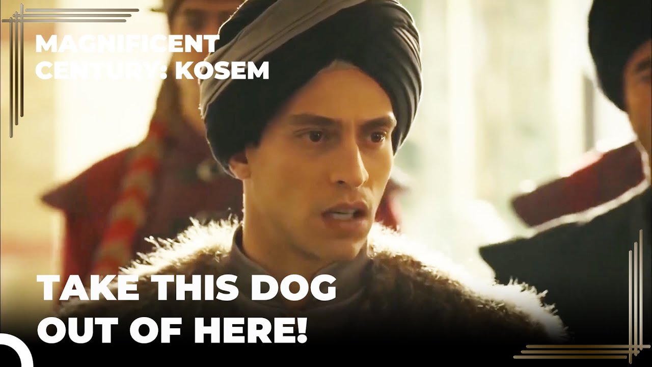 Traitor Kasım Pasha Was Sentenced to Death | Magnificent Century: Kosem