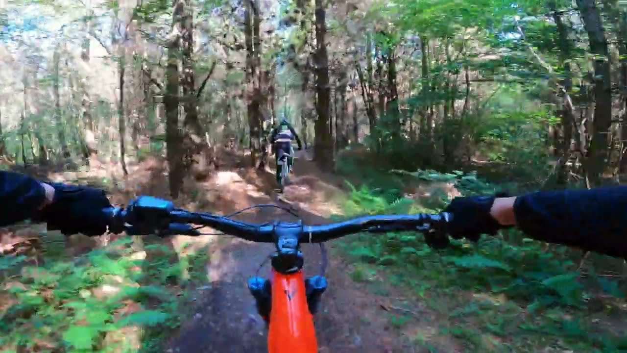 Bedgebury Forest ride with medway mountain bikes