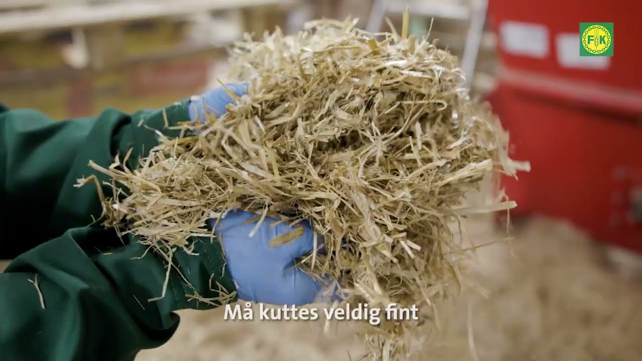 Innovative l&oslash;sninger i fremtidens grisefj&oslash;s
