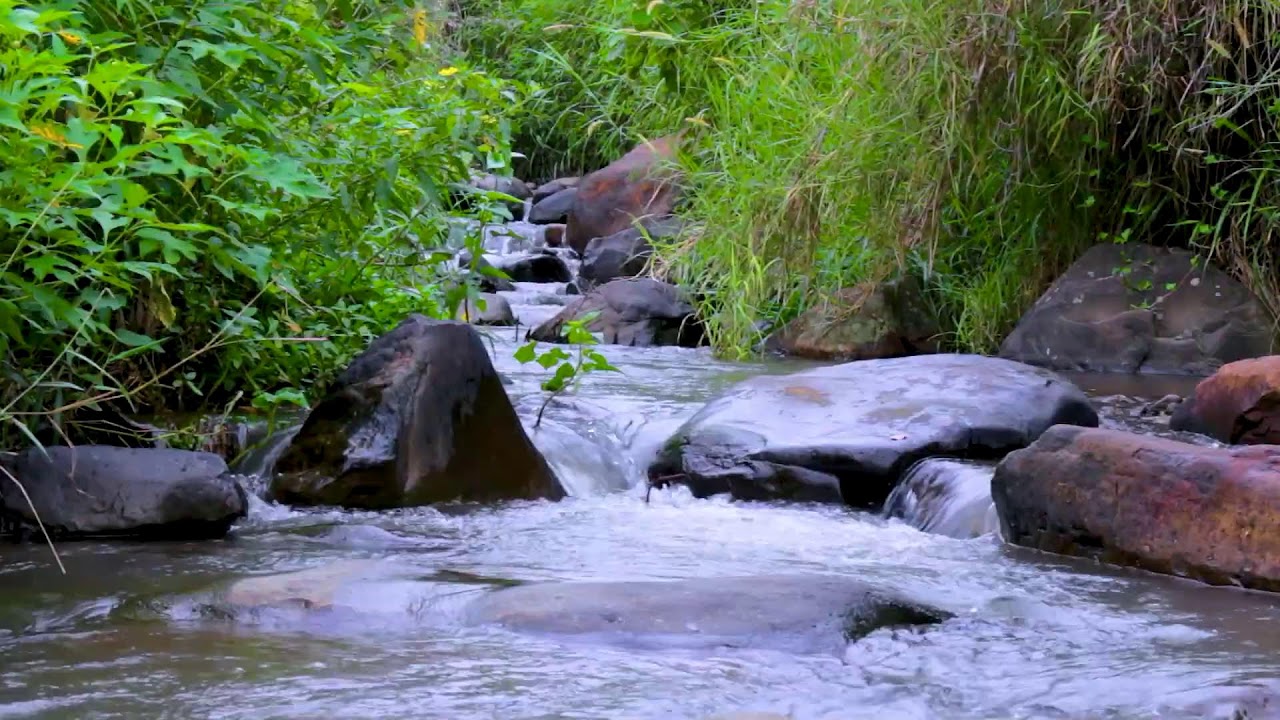 Sleep Soundly with River Flow | Continuous Water White Noise