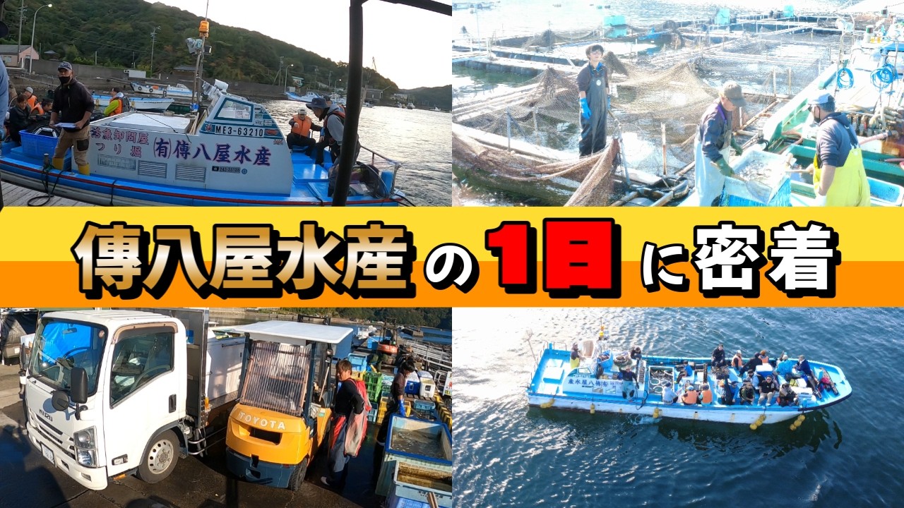 【海上釣堀】傳八屋さんのお仕事に密着！【一気見】