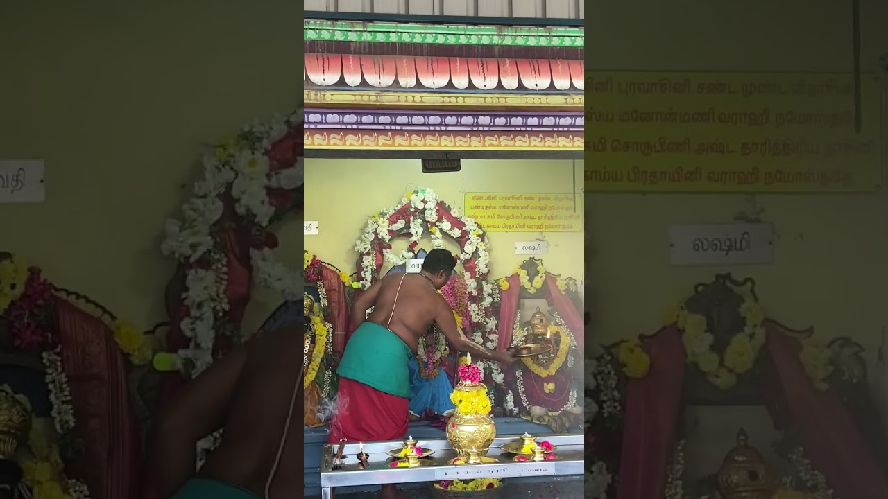 Varahee Amman Panchami Poojai #varahi #varahidevi #varahiblessings #varaharoopam #amman #panchami