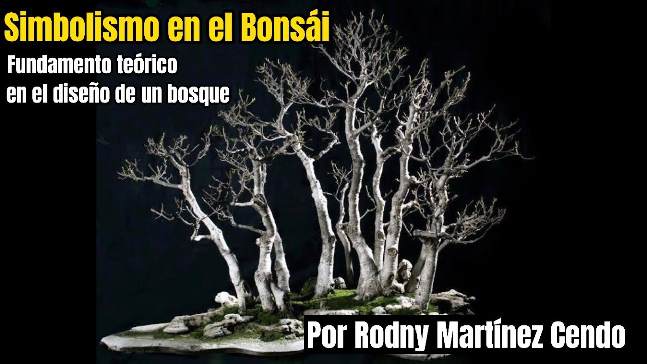 Simbolismo en el Bonsái!!! Fundamento Teórico en el diseño de un bosque. Por Rodny Martinez Cendo.