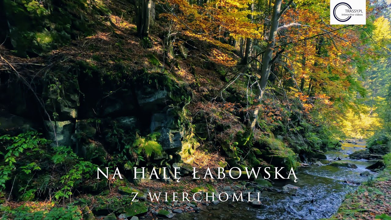 Rowerem na Halę Łabowską z Wierchomli.