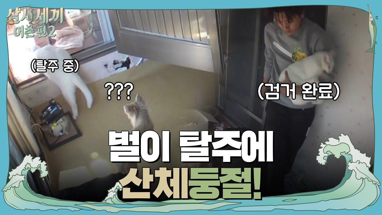 벌이 탈주 사건! 충격의 범인 검거 현장! | 삼시세끼 어촌편 2 (3 meals a day-fishing trip 2) EP.3