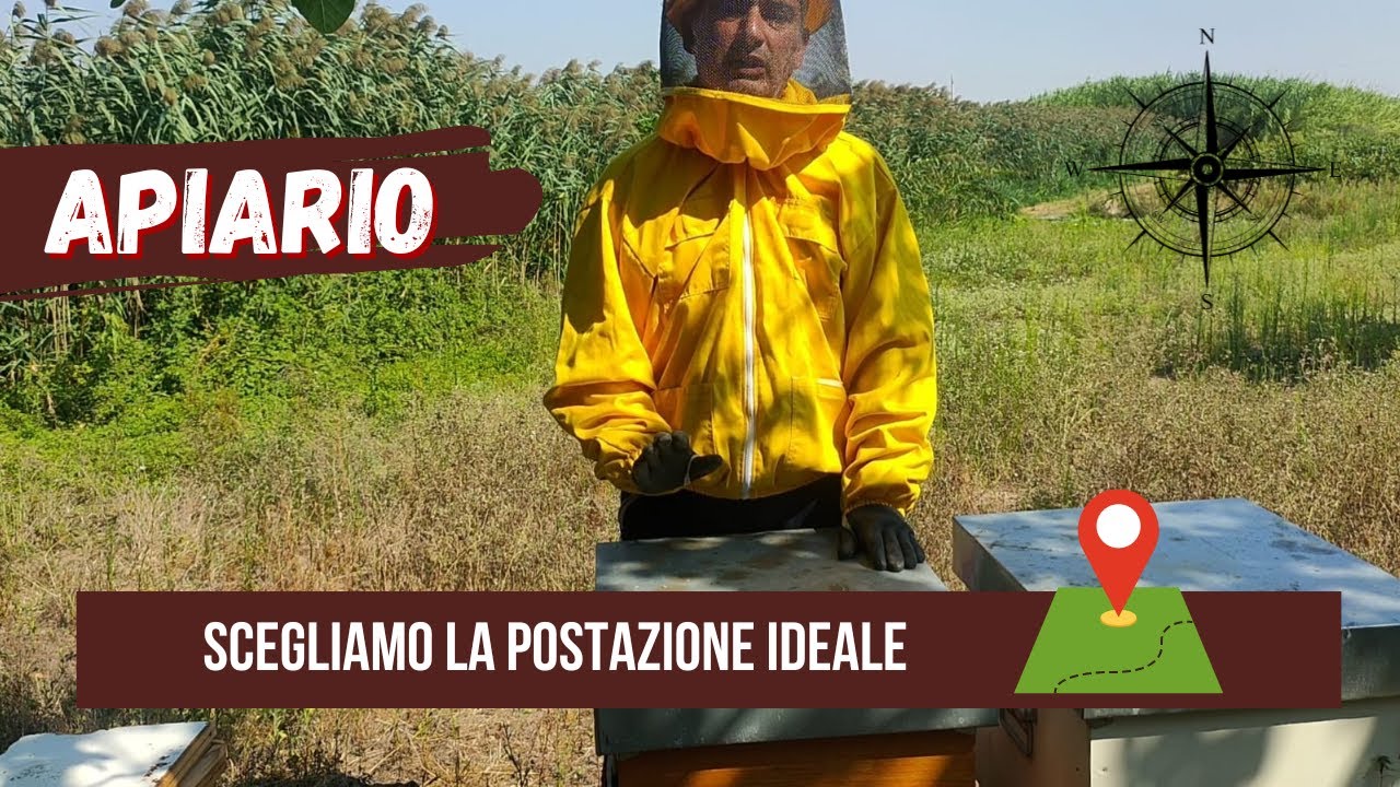 APICOLTURA - APIARIO LA POSTAZIONE IDEALE