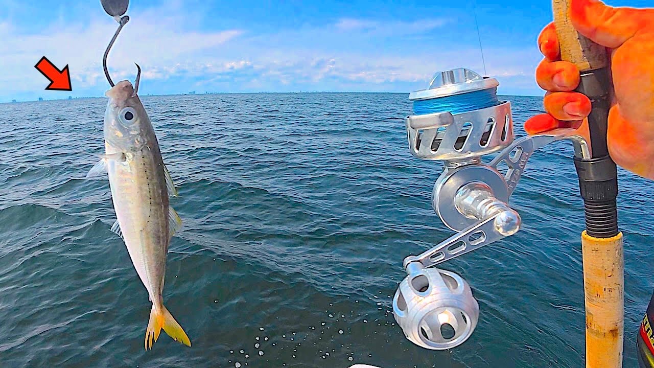Fishing a LIVE! CIGAR MINNOW 80' DEEP for my LUNCH! [Catch, Clean, Cook]