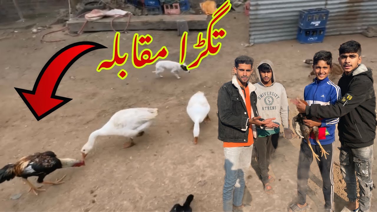Dsp Murga Dar Kr Bag Gya😱