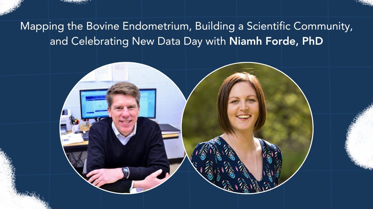 Dairy Digressions S2, E20 | Mapping the Bovine Endometrium & Celebrating New Data w Niamh Forde, PhD