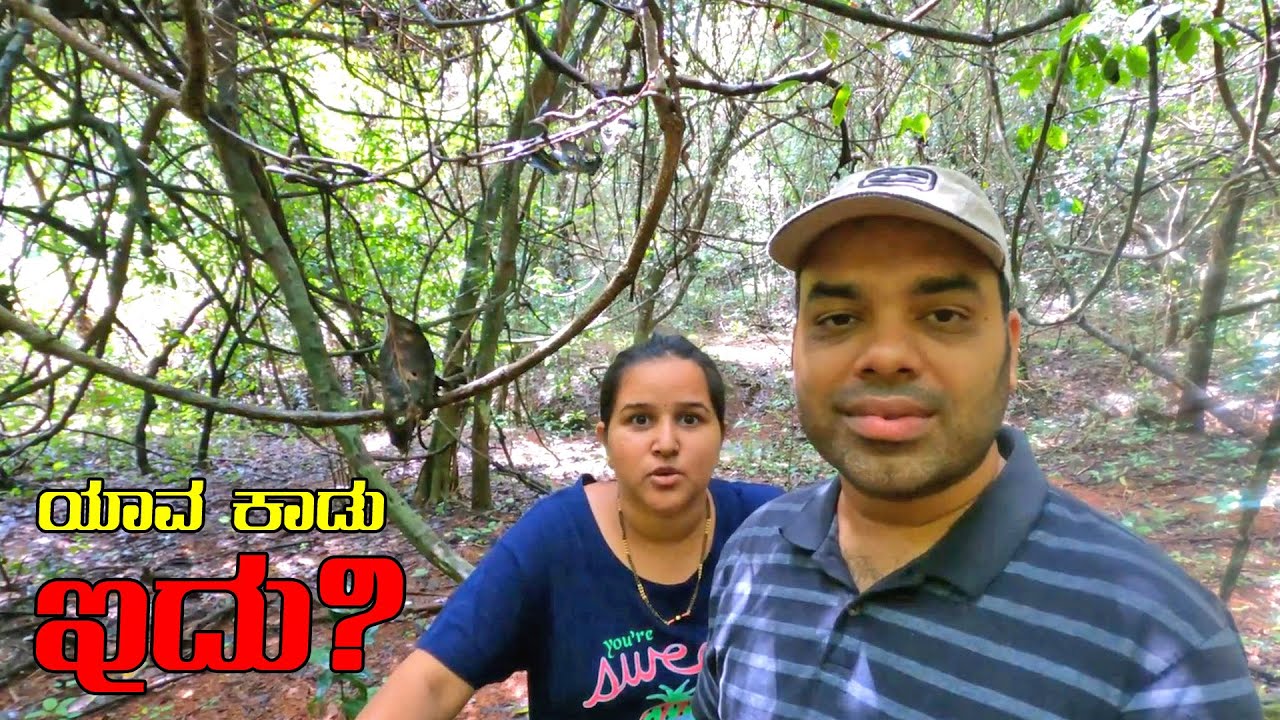 ಈ ಗುಡ್ಡದ ಮೇಲೆ ಹಾವು 🐍🐍 ಸರ್ವೇಸಾಮಾನ್ಯ  | Adventure Gang at Honnavara | Kannada Vlog | MMK Vlogs