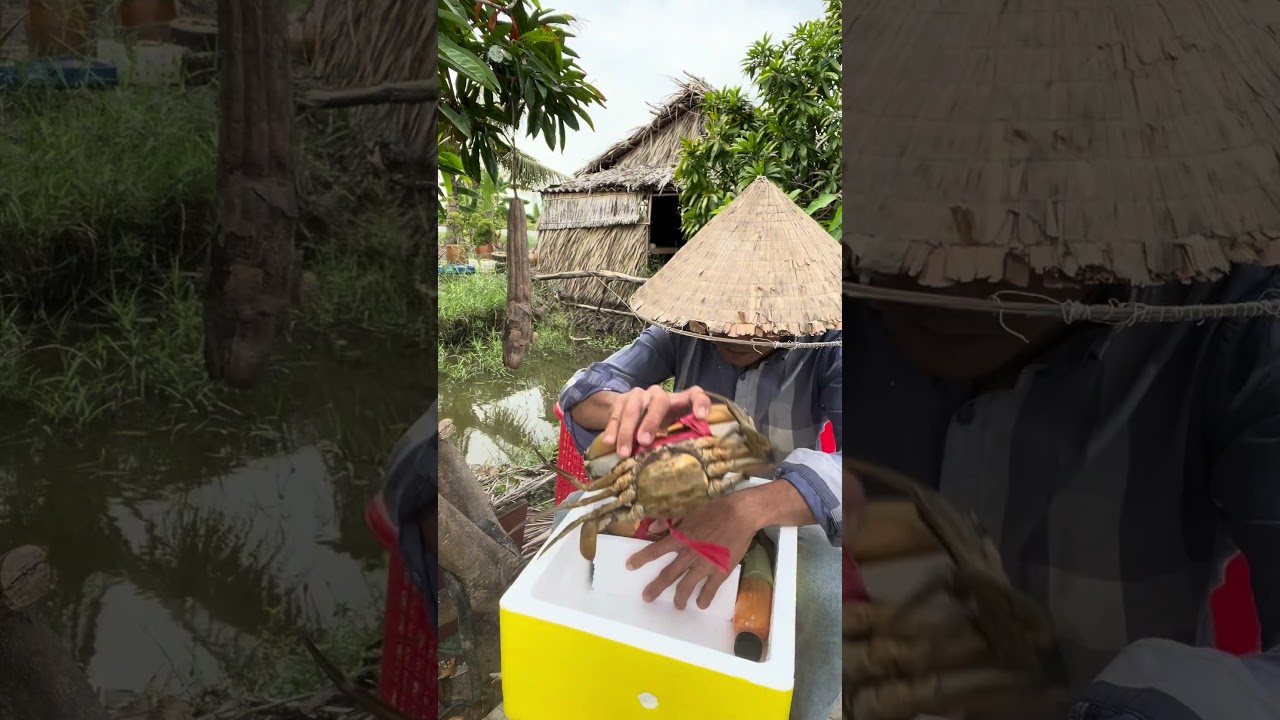 Cua Phong gửi khách dây đúng như trên clip  
