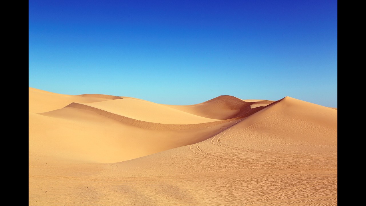 Desert dreams