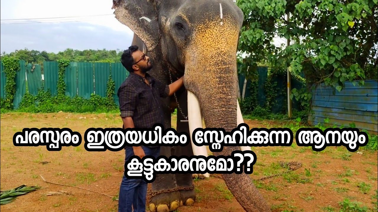 രാഹുലിന്  ഗോവിന്ദൻ ആണ് എല്ലാം  ഇവരുടെ സ്നേഹം കാണേണ്ടത് തന്നെ| Ravipuram Govindan
