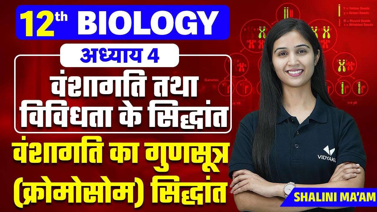 वंशागति का गुणसूत्र (क्रोमोसोम) सिद्धांत | Principles of Inheritance and Variation 12th/NEET Ch 04