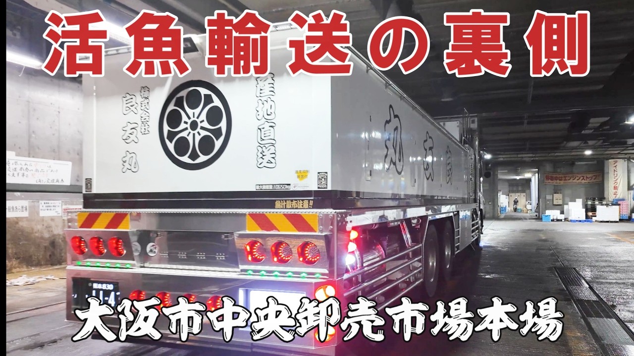 【西日本最大の卸売市場】大阪本場に潜入！活きた魚を運ぶ活魚輸送の男たち