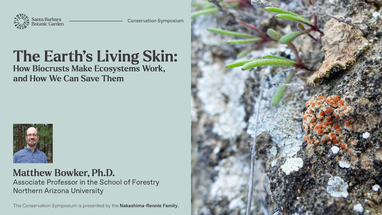 The Earth's Living Skin | How Biocrusts Make Ecosystems Work, and How We Can Save Them