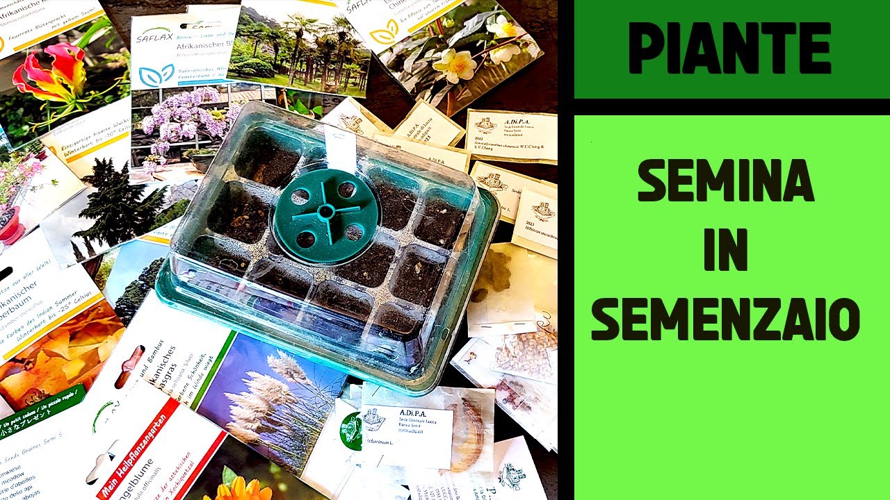 Seminare le Piante in semenzai _ Come avere un'alta germinazione
