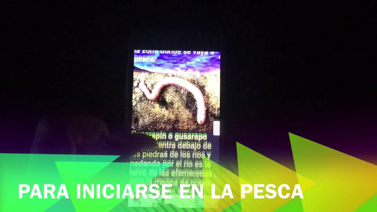🔵 APP de pesca gratuita para Android Pescaguide