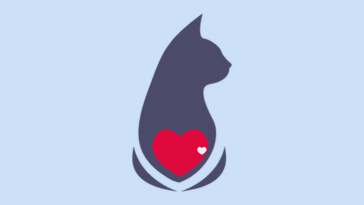 Cat logo