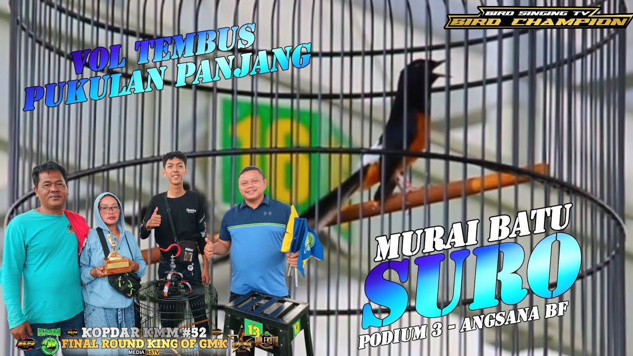 МОЩНЫЙ ДЛИННЫЙ УДАР ‼️ MURAI BATU SURO MATERI TANDES TANDES ‼️ ANGSANA BF