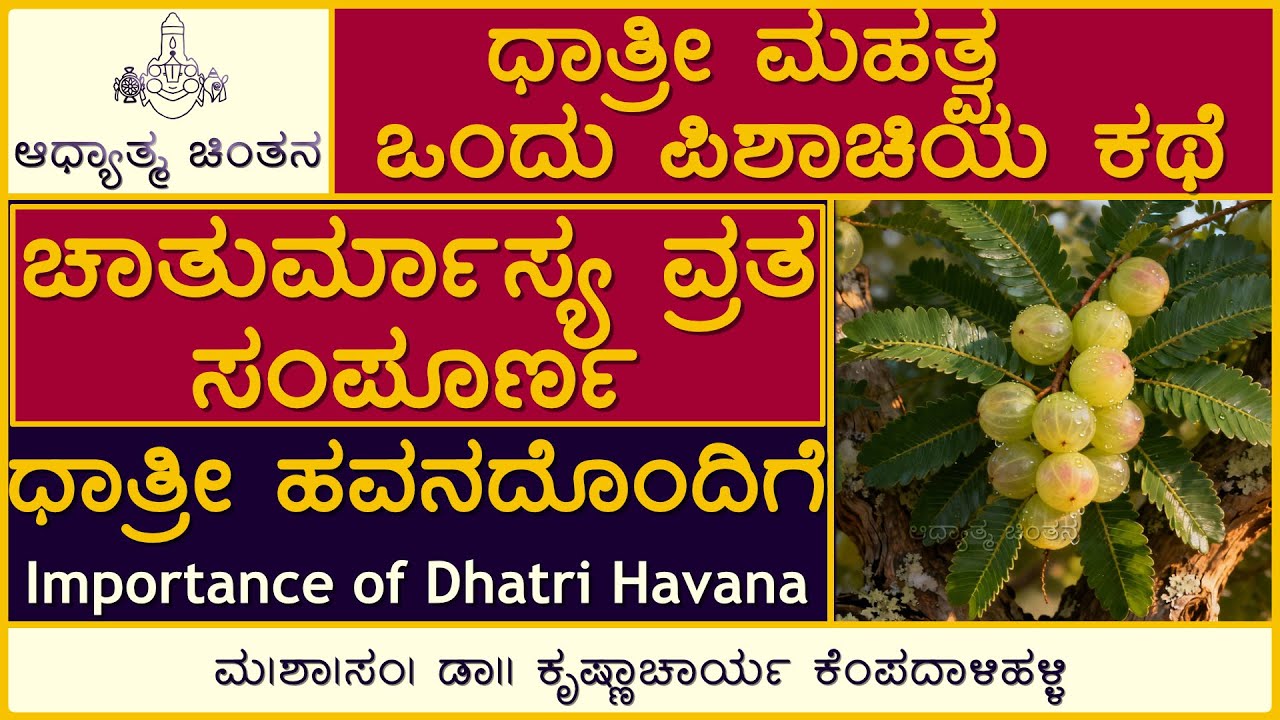 ಧಾತ್ರೀ ಹವನ ಮಹತ್ವ | Dhatri Havana | Dhatri Havana Story | Chaturmasa | ಚಾತುರ್ಮಾಸ್ಯ| ADHYATMA CHINTANA
