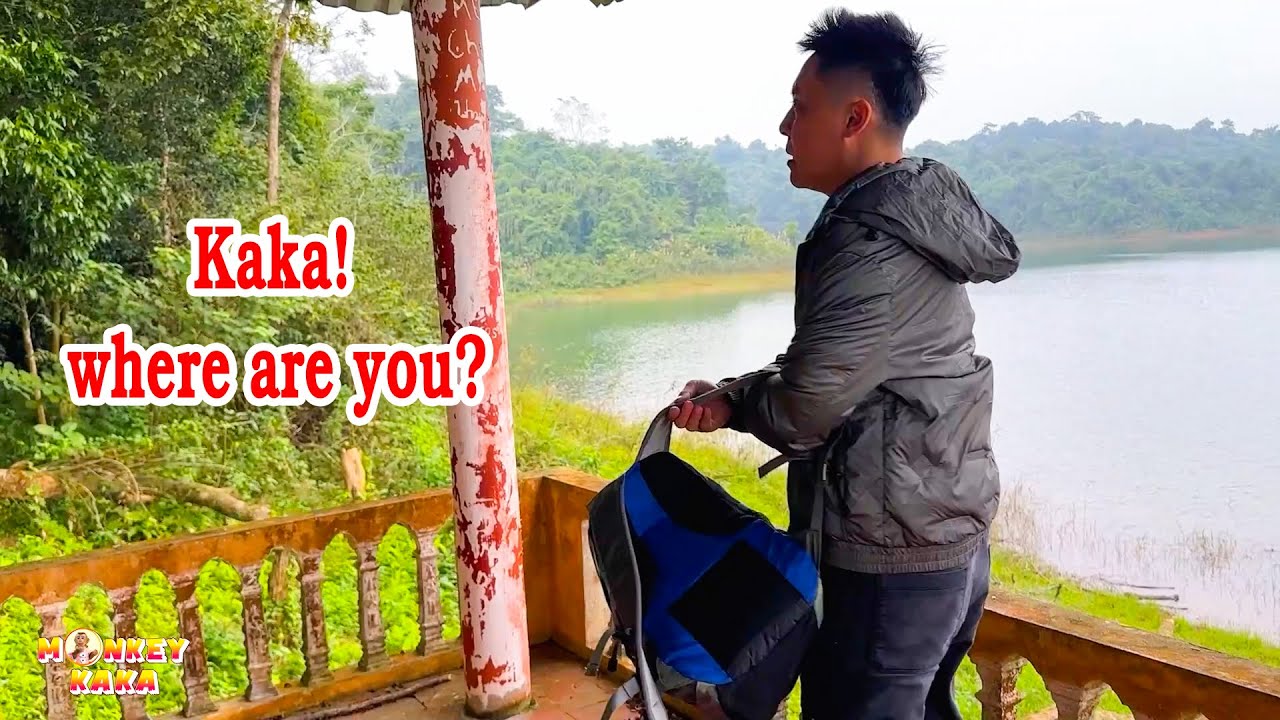 Where is the Monkey Kaka? Is the Kaka Monkey being forgotten?