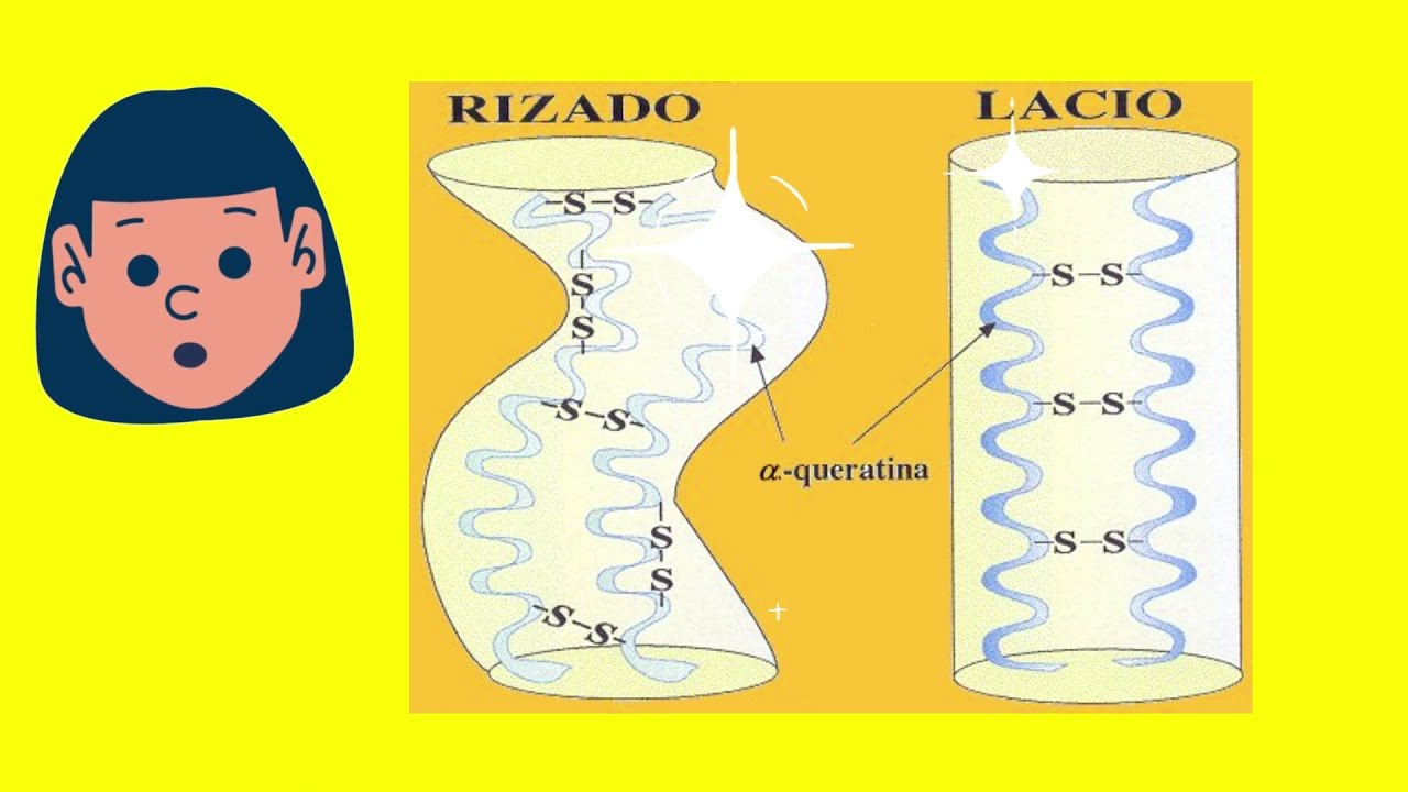QUERATINA UN COMPONENTE DURO DE ROMPER - C&aacute;psula de Divulgaci&oacute;n