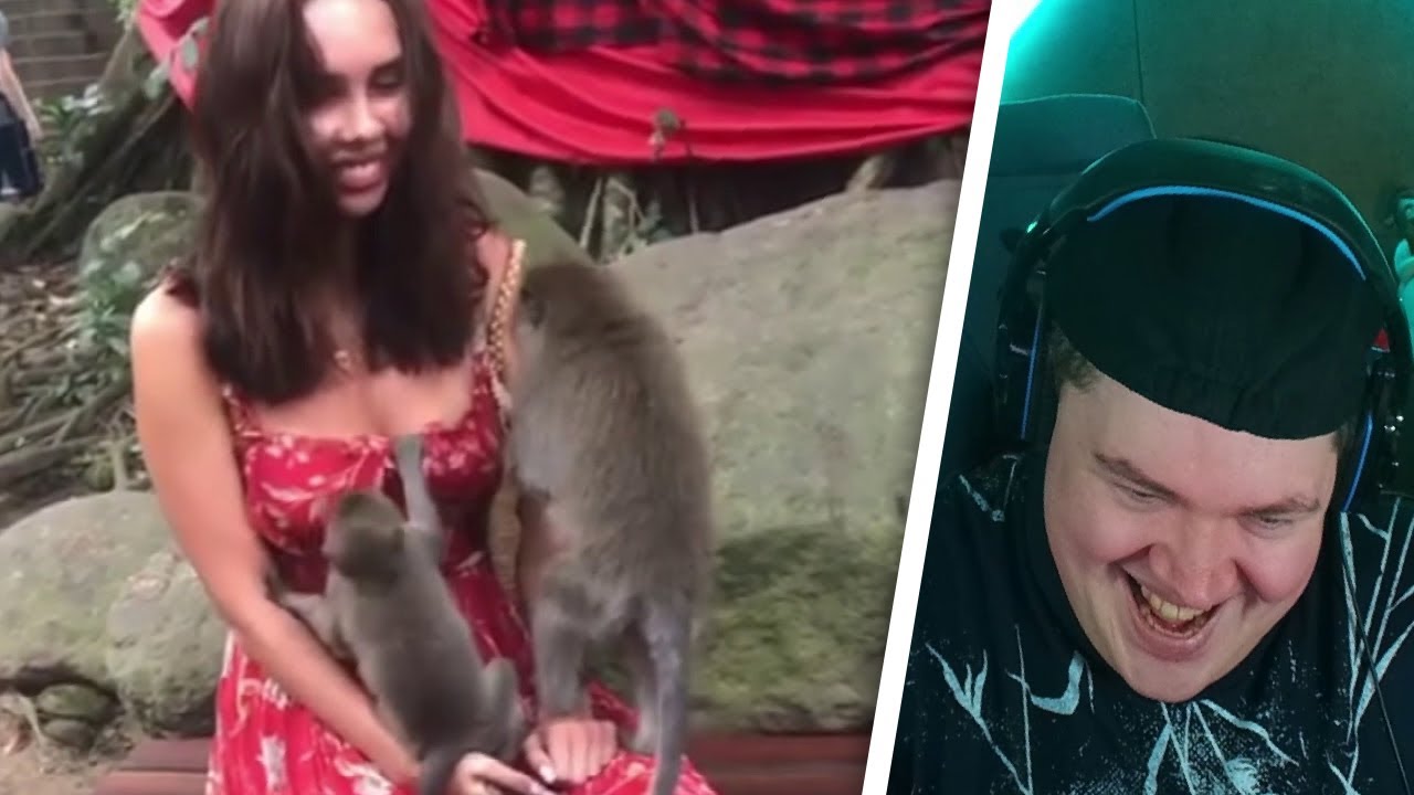 Was Tiere So Denken 110 - 112 | REAKTION