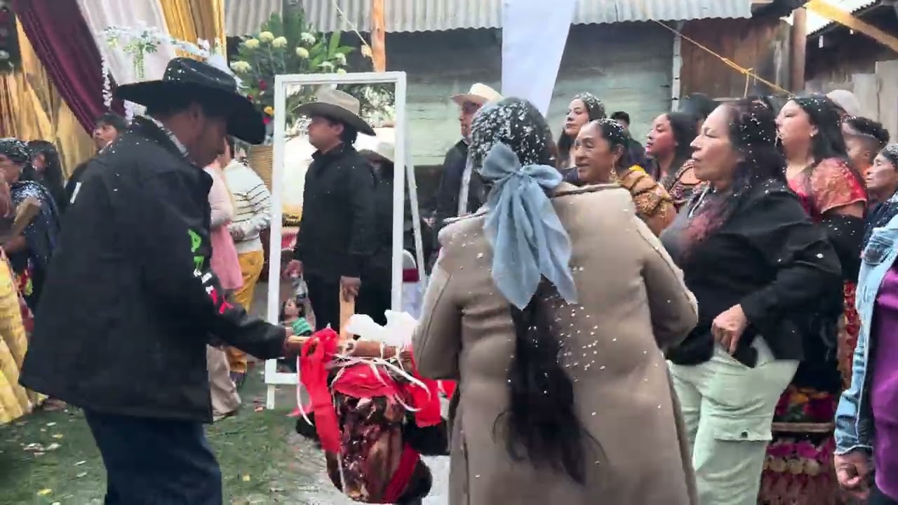Boda de Jesús y Sheila en Pamatácuaro - Tradiciones Purépechas 