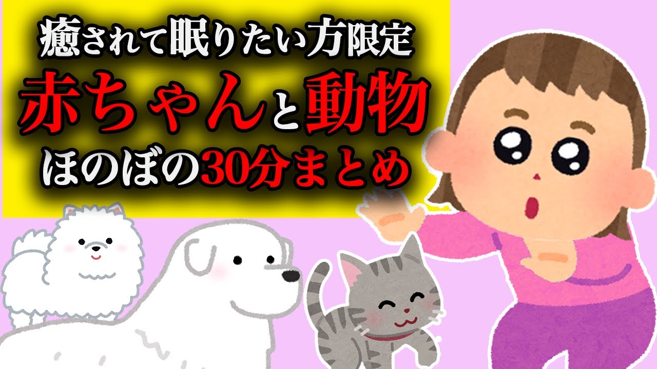 【総集編】赤ちゃんと動物のほのぼの小話30分まとめ【2chほのぼの】