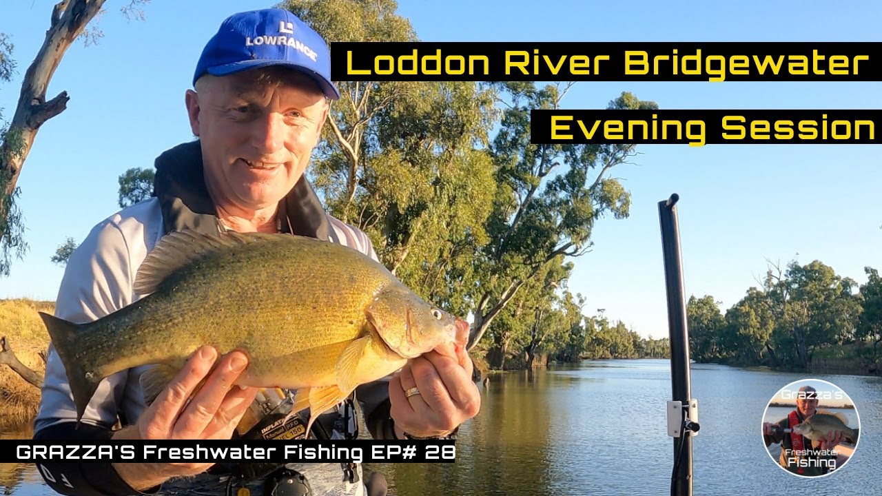 Loddon River Evening Fishing Session | grazzasfreshwaterfishing Ep#28