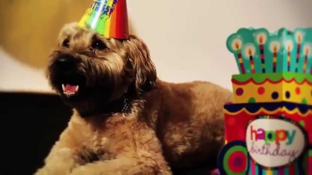 Josh Groban - Sweeney Birthday Video [Extras]
