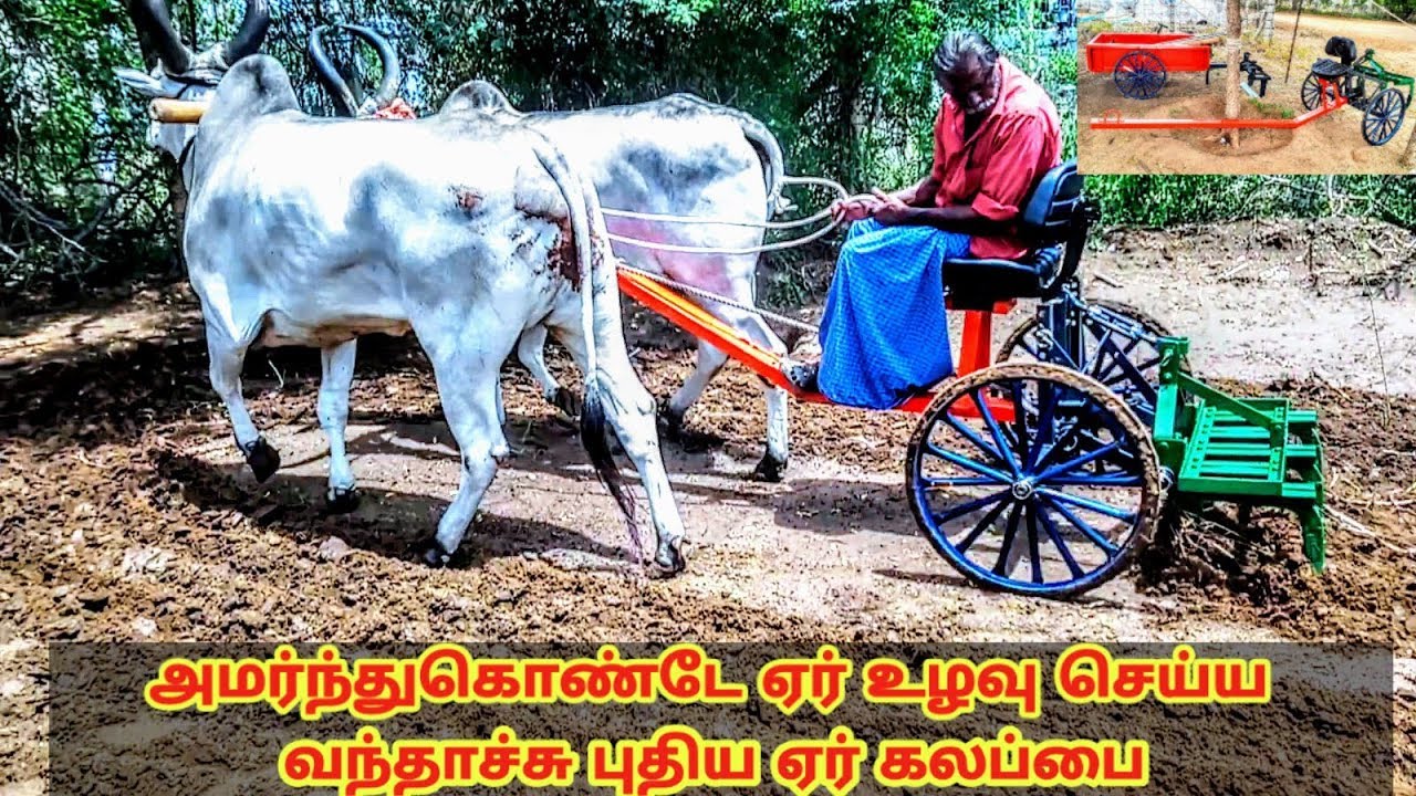 அமர்ந்துகொண்டே ஏர் உழவு செய்ய வந்தாச்சு புதிய ஏர் கலப்பை/Sit and Ploughing plow with cows