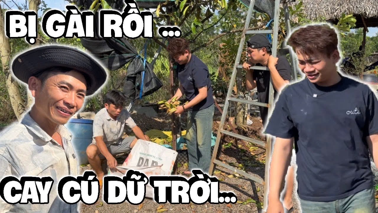 Thằn khứa này mê Ngân Đen -Muốn Lụm Nhân Đen và Cái Kết