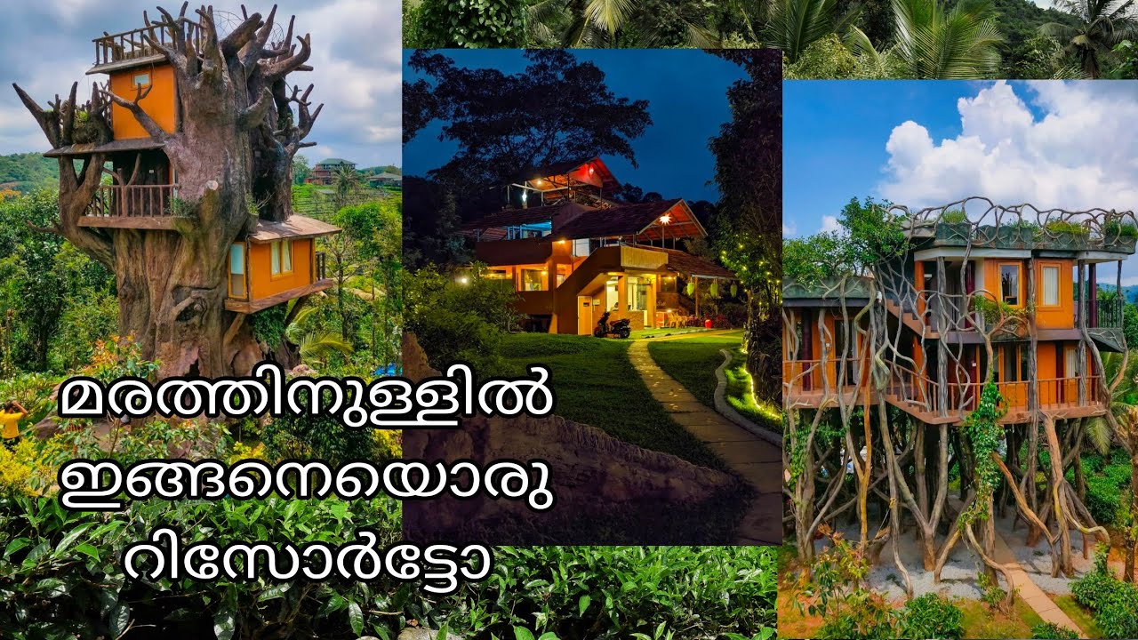 First tree house in Kerala | wayanad, periya, bluebell resort