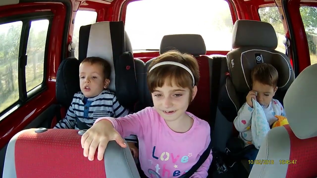 Ionel Nistor Vlog  #IonelNistorBlog #ApisInes #IonelNistor