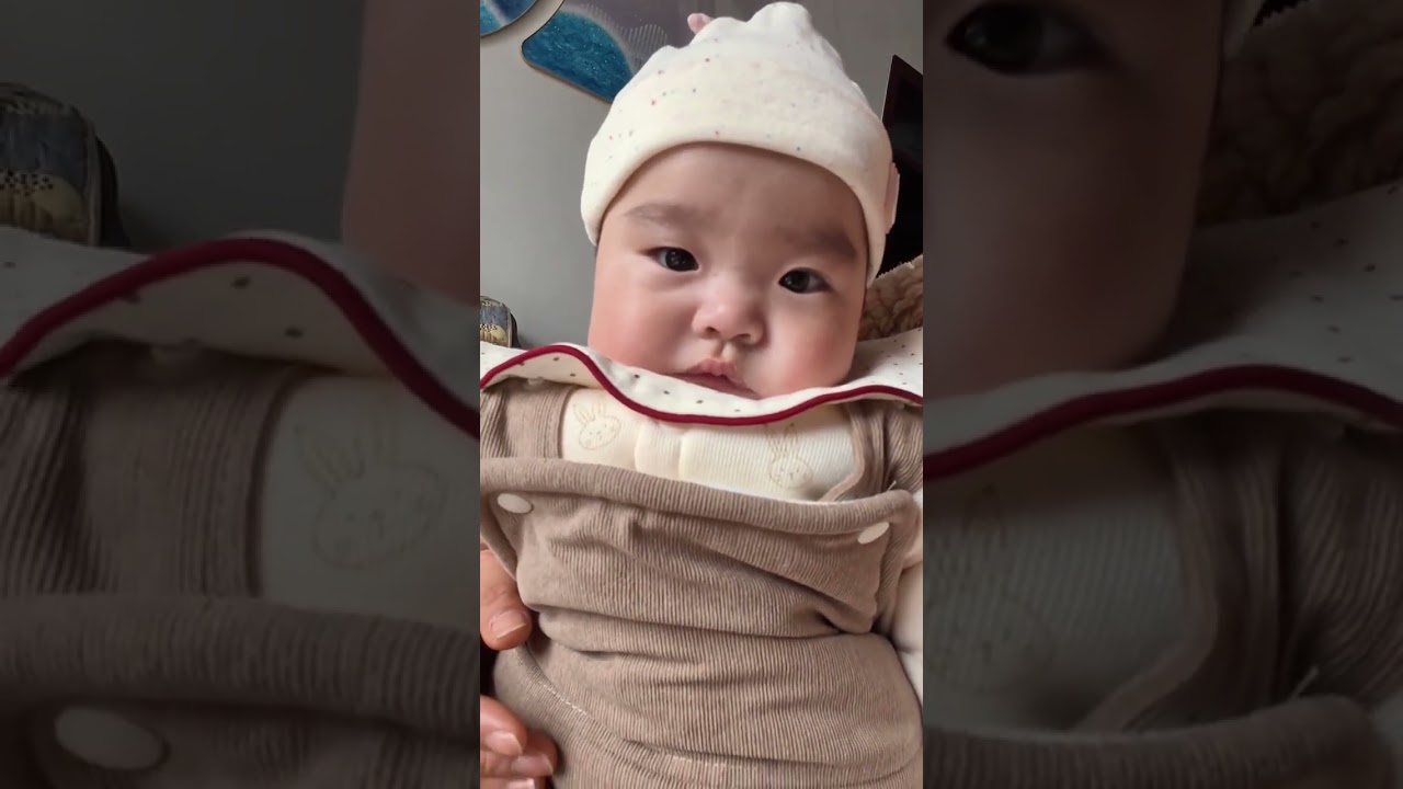 Vlog. Taking SAN Gou back to my hometown in Henan for the Spring Festival I spent the whol