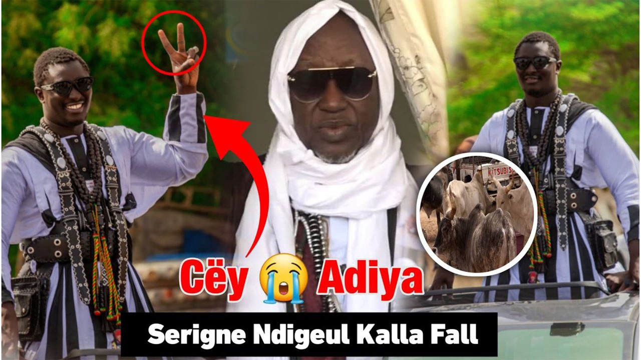 🔴Koor 2026▶️S. Cheikh Ndigeul Kalla Fall Diébal na S.Cheikh Ndigeul Fall - 1.000.000F ak 20Naak ak..