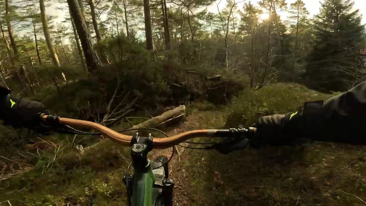 MTB Nightride - Frozen Trails & Hardtail Fails