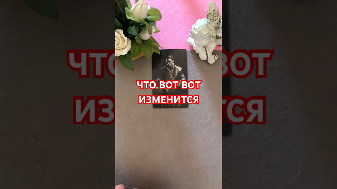 #vlog #таро #tarot #гадание #таролог #стоитлиждатьтаро #будущее #гаданиеонлайн #tarotlive #love #