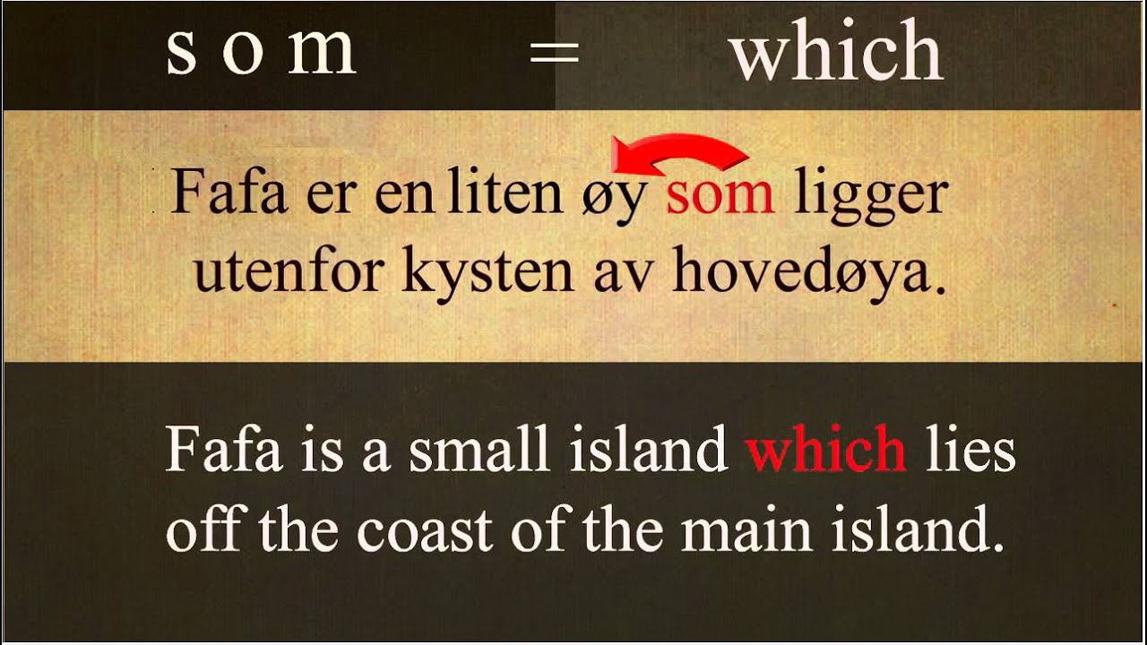 Norwegian words that have more than one meaning (SOM)