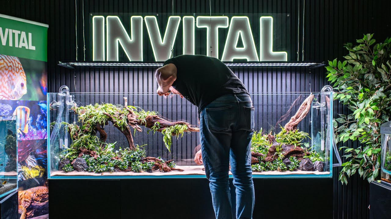 Setting up a 720 l MEGA aquarium | INVITAL