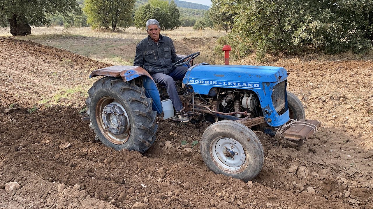 YILLARA MEYDAN OKUYAN MORRİS LEYLAND