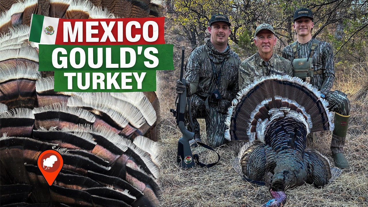 Gould&rsquo;s Turkey Hunting in Mexico | Woodhaven x Realtree Crews | Spring Thunder